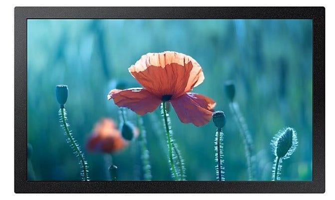 Monitor Profissional Samsung QB13R LED 13" - LH13QBREBGCXZA - Mega Market