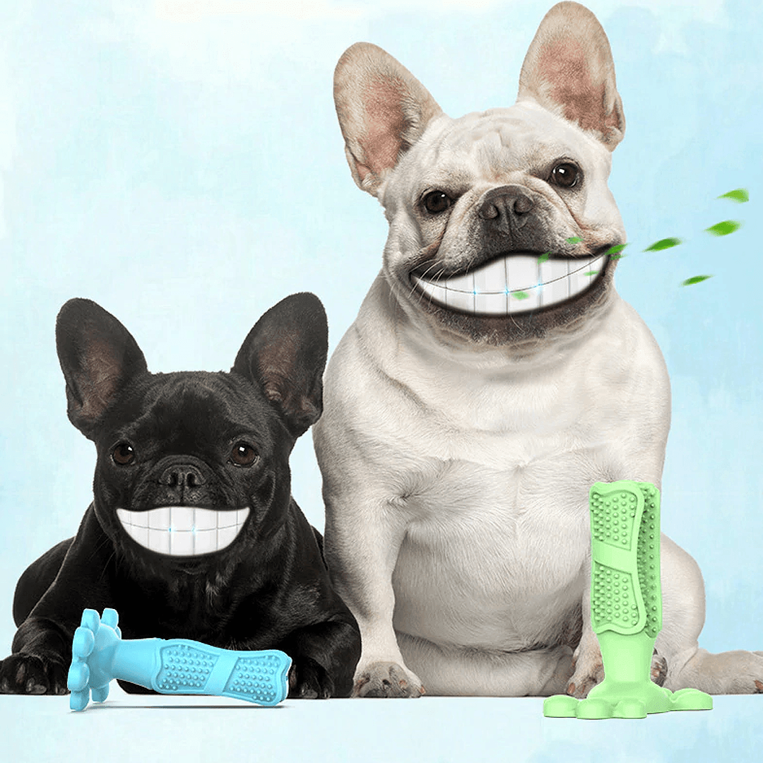 PetBrush® Escova de Dente Para Cachorro - Mega Market