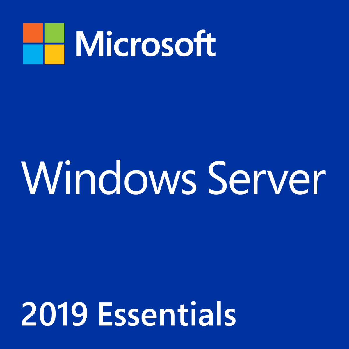 Windows Server Essentials 2019 64 bit COEM/DVD G3S-01294 - Mega Market